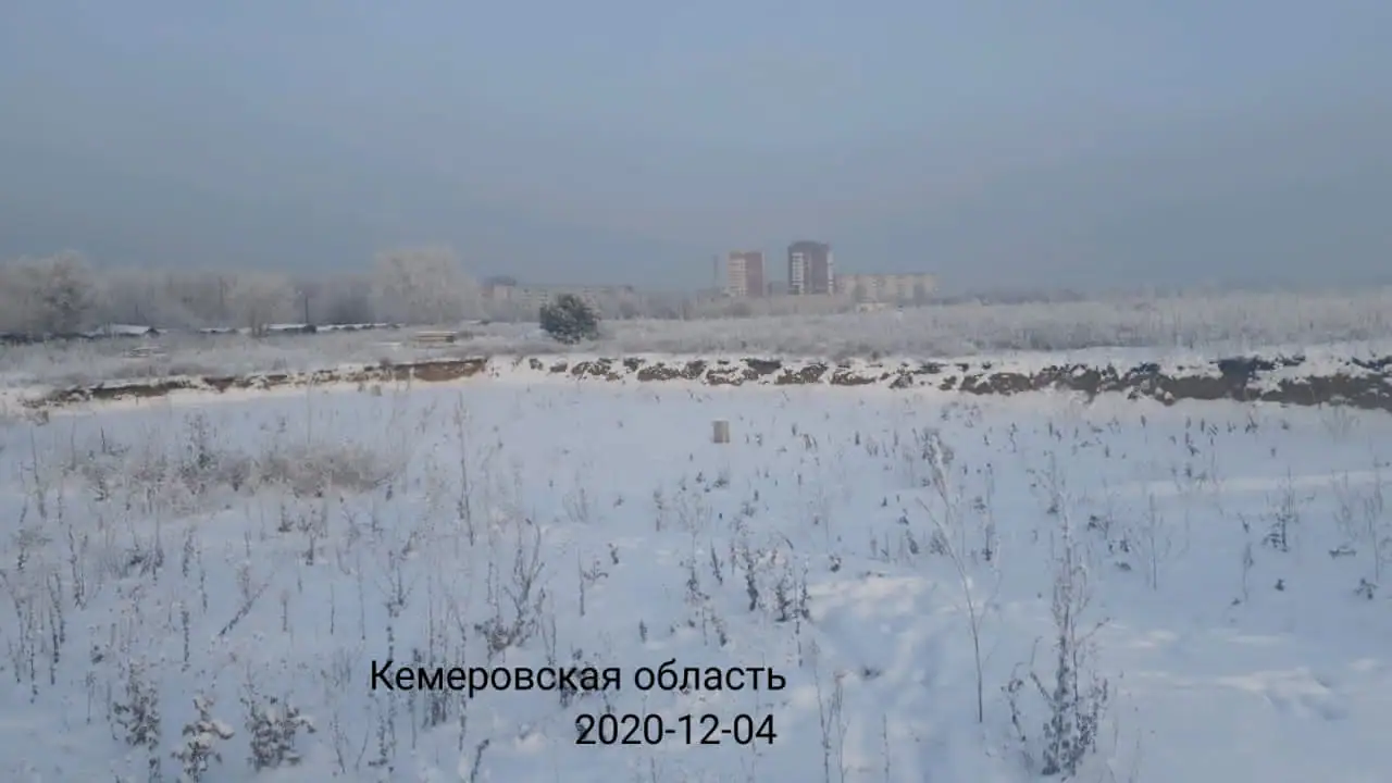 ноябрь, 2020