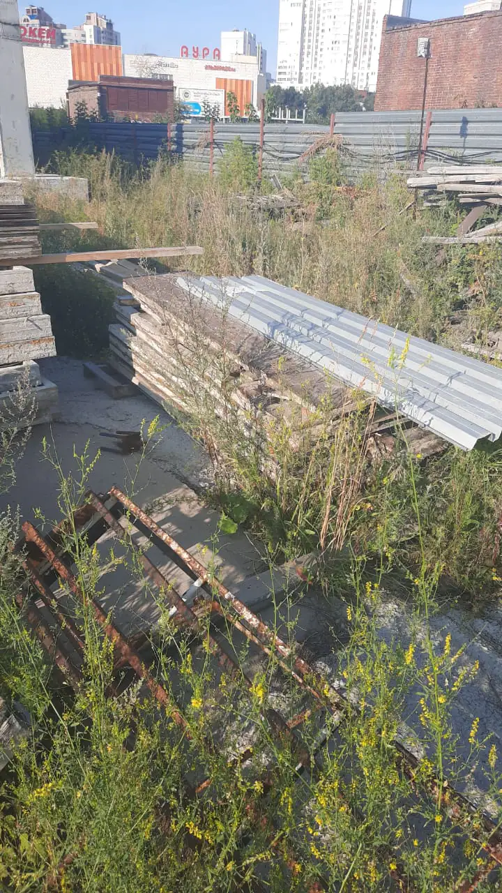 11 2020 г.