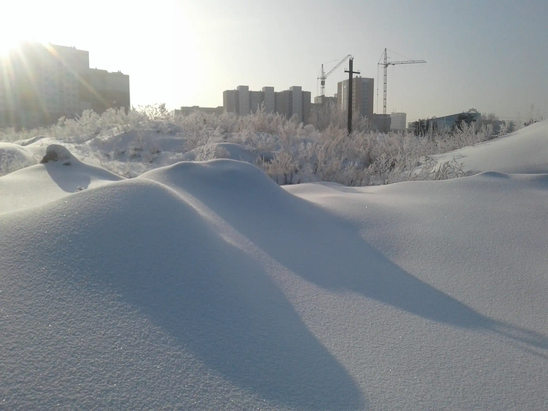 январь, 2019