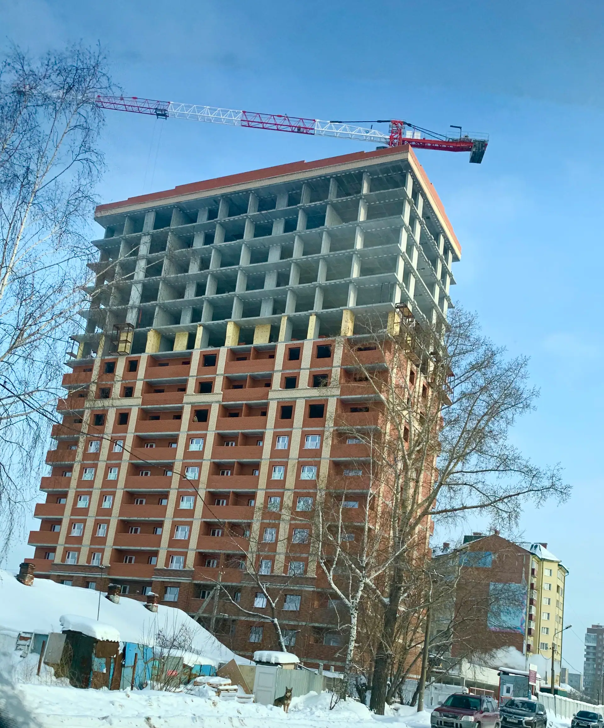 январь, 2020