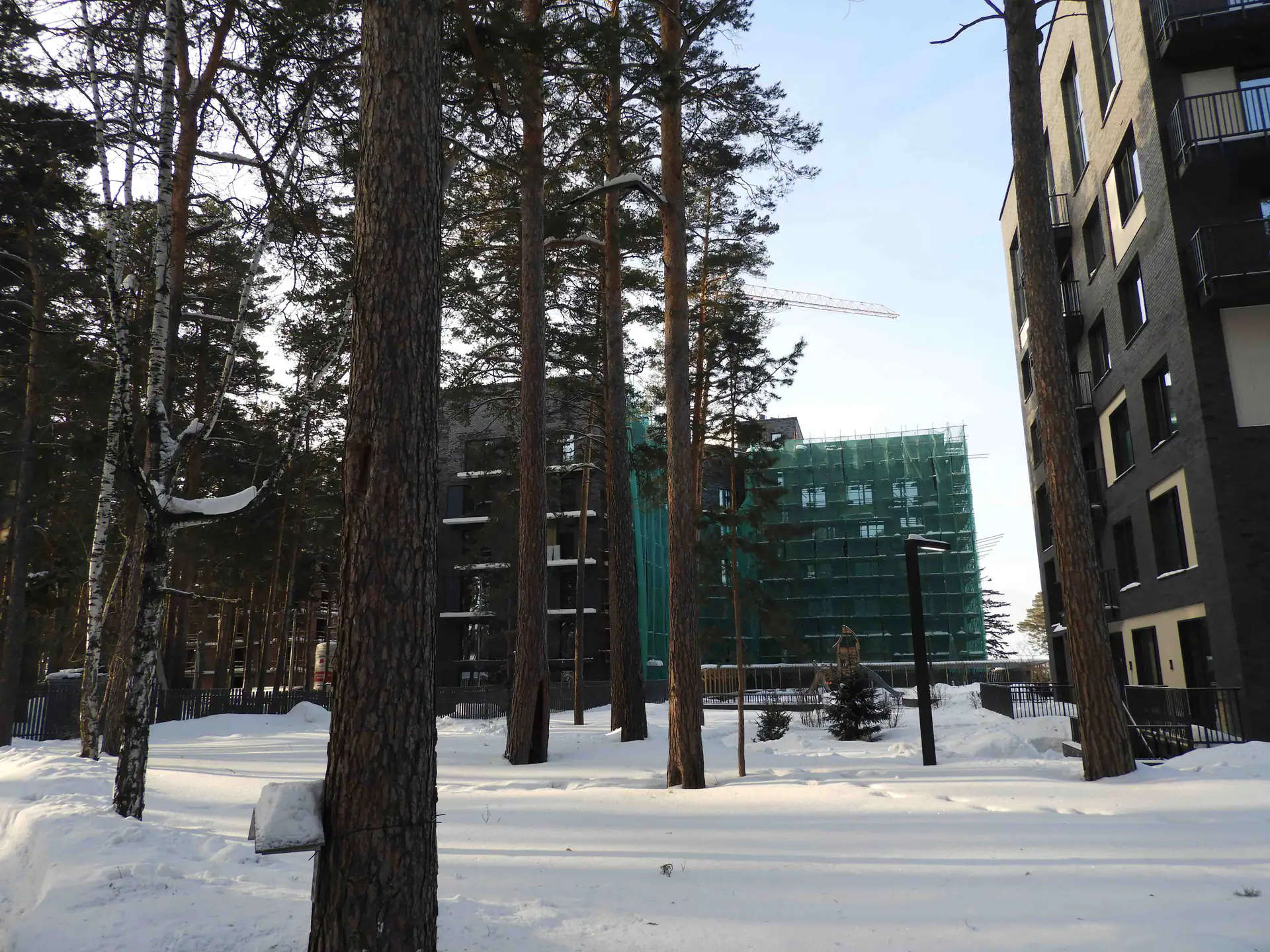 январь, 2019
