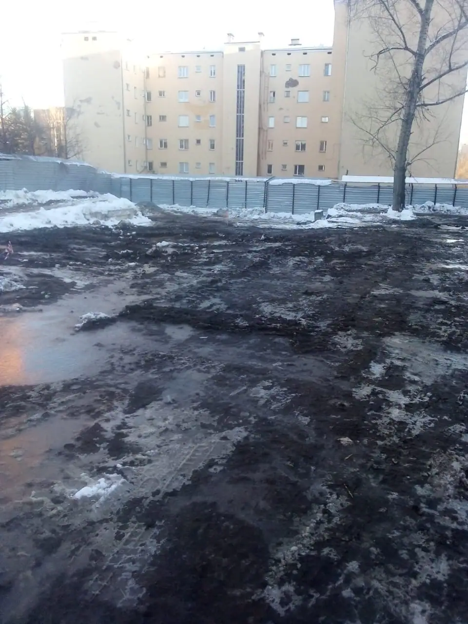 03 2021 г.
