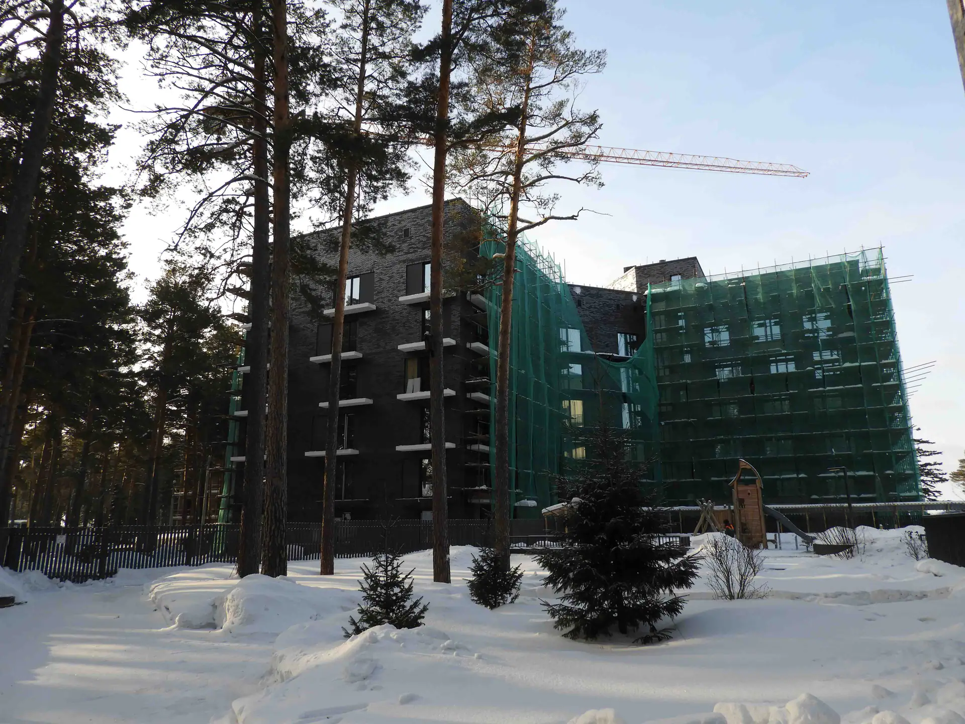 январь, 2019