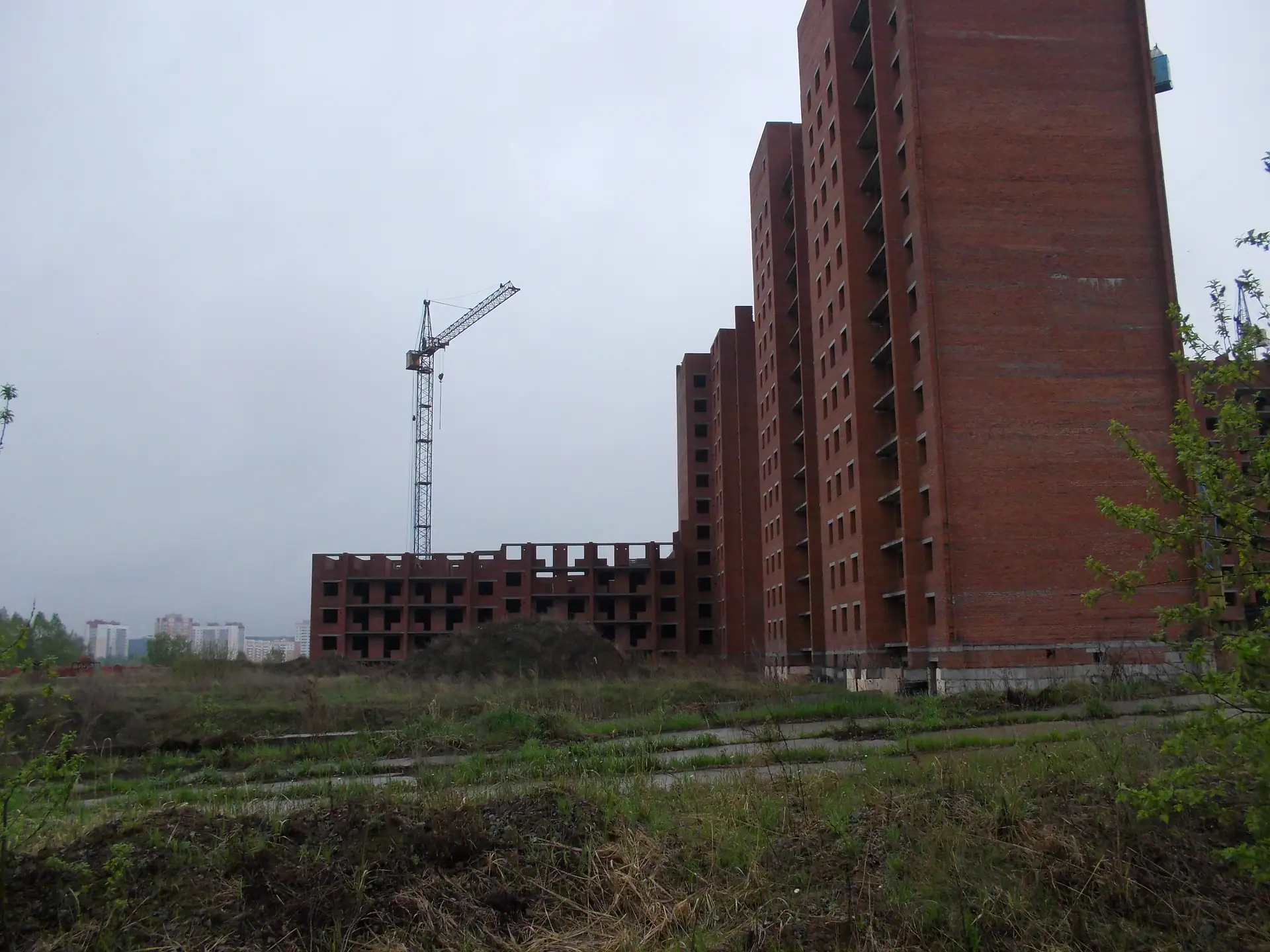 май, 2021