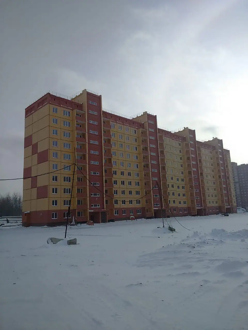 10 2019 г.