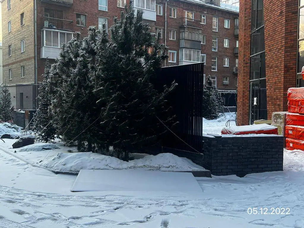11 2022 г.