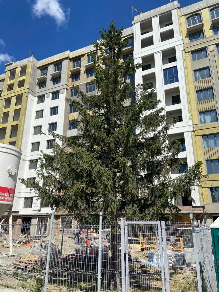 июль, 2020