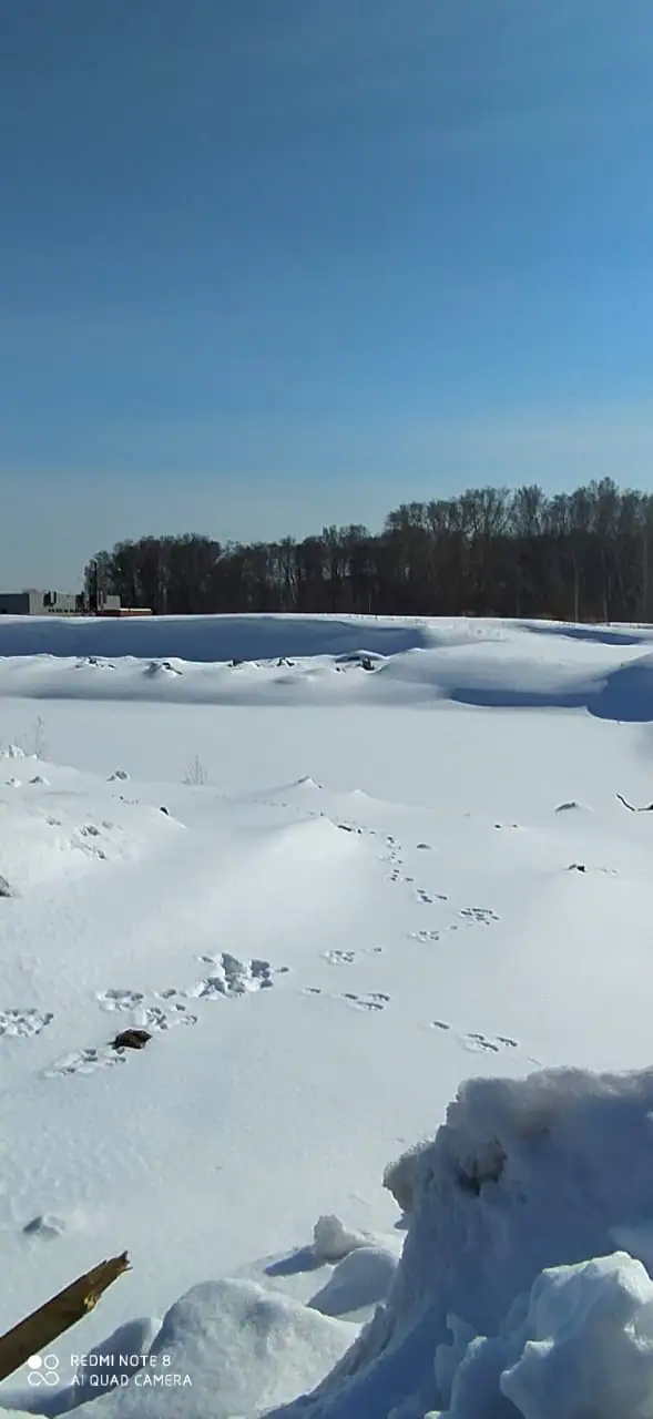 03 2021 г.