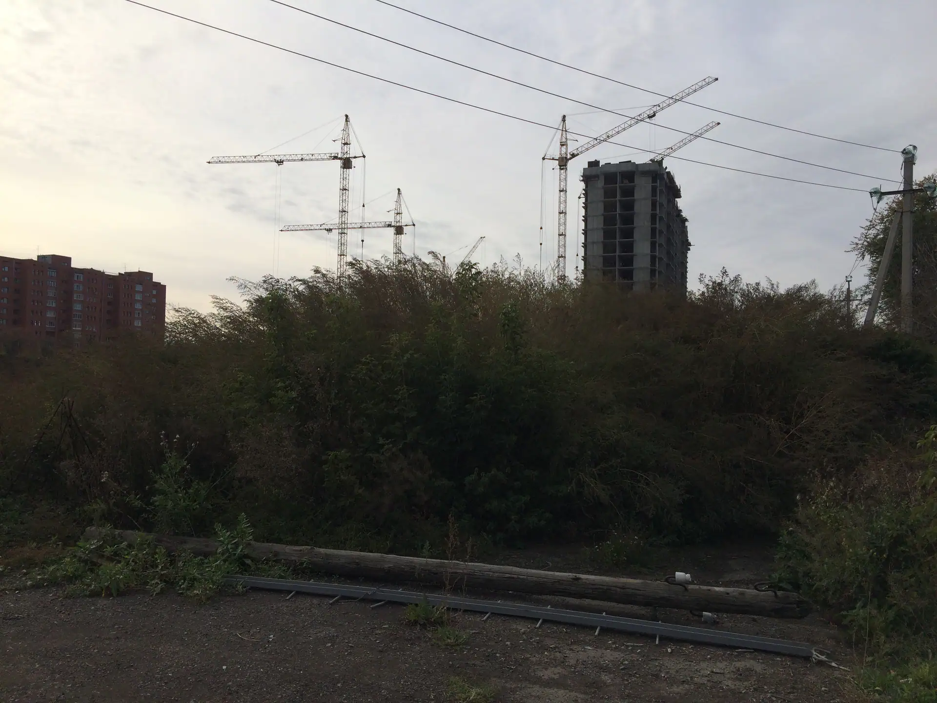 октябрь, 2019