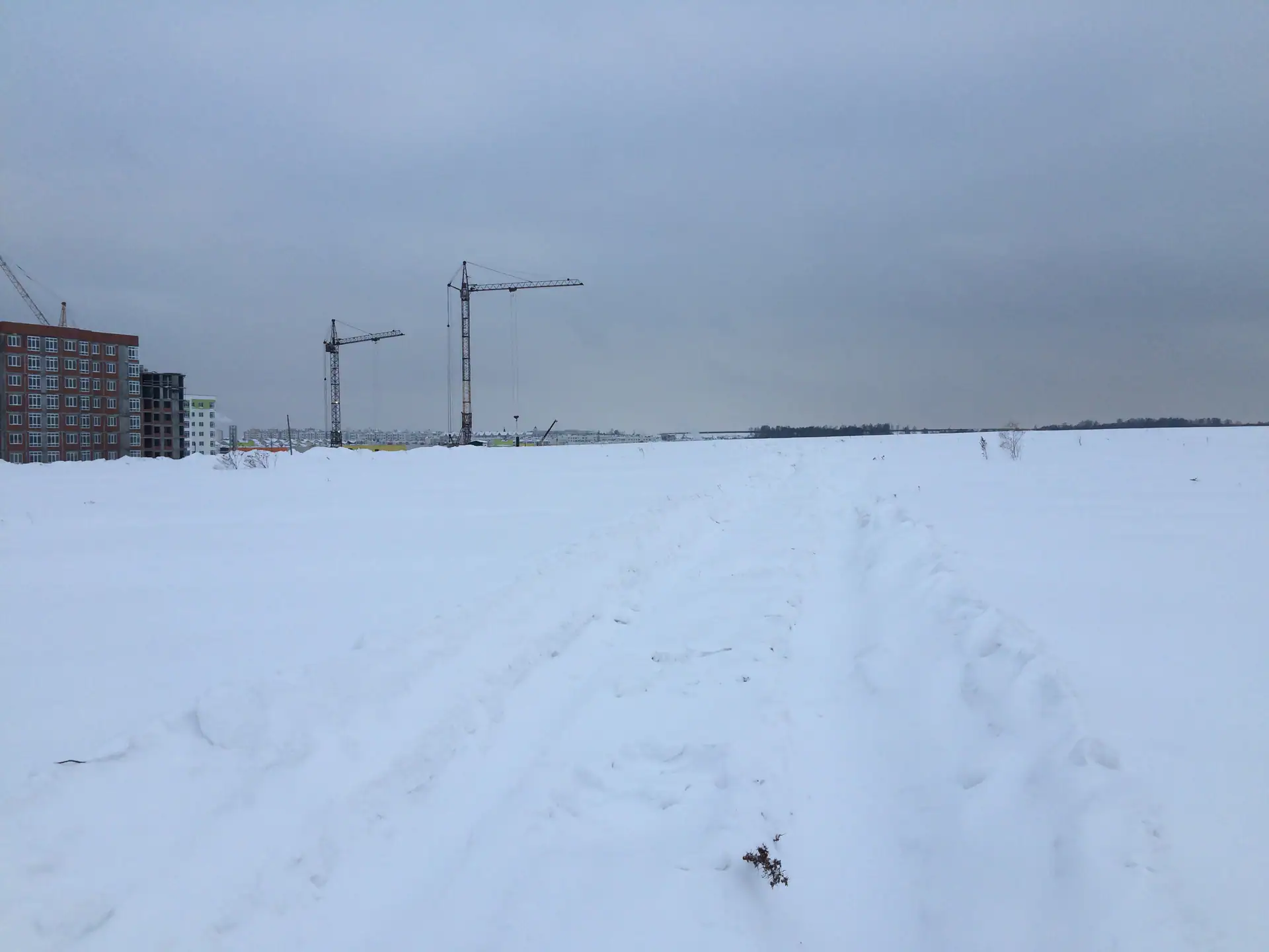 январь, 2019