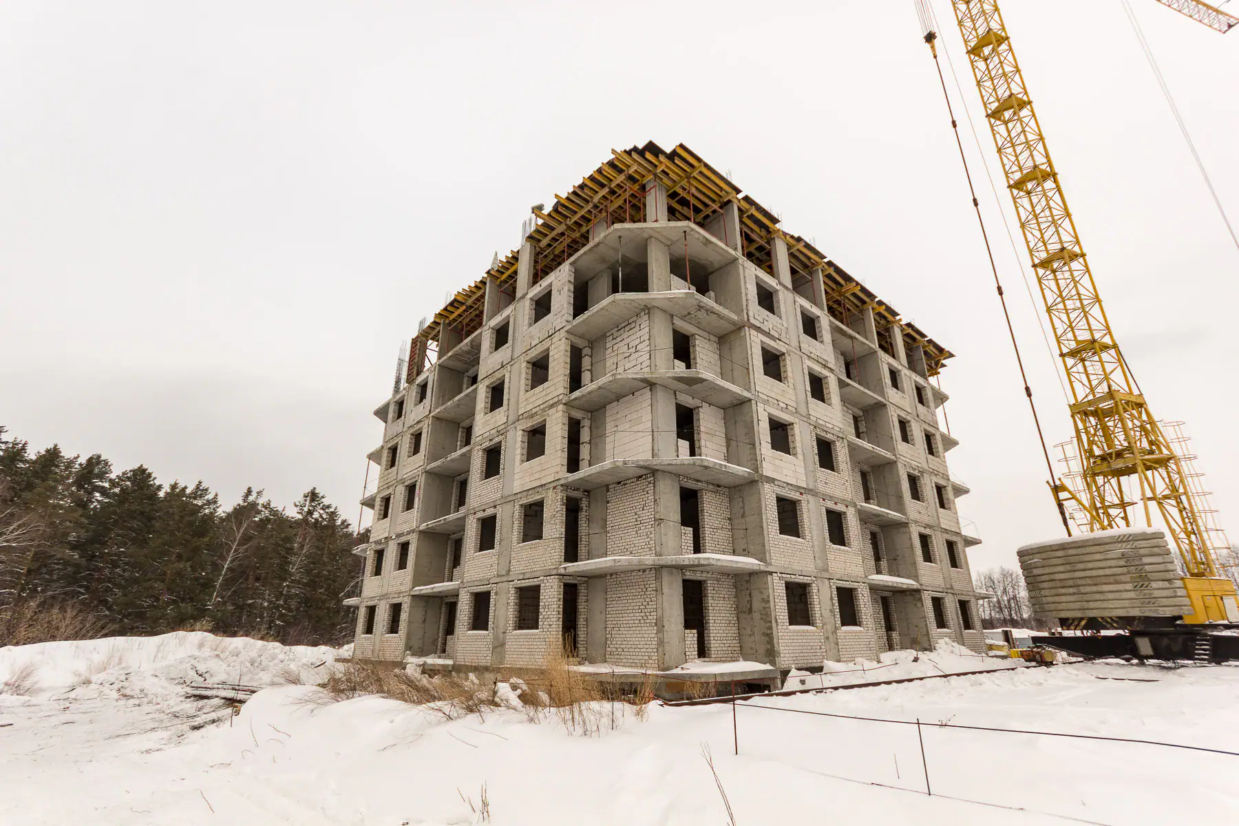 январь, 2019