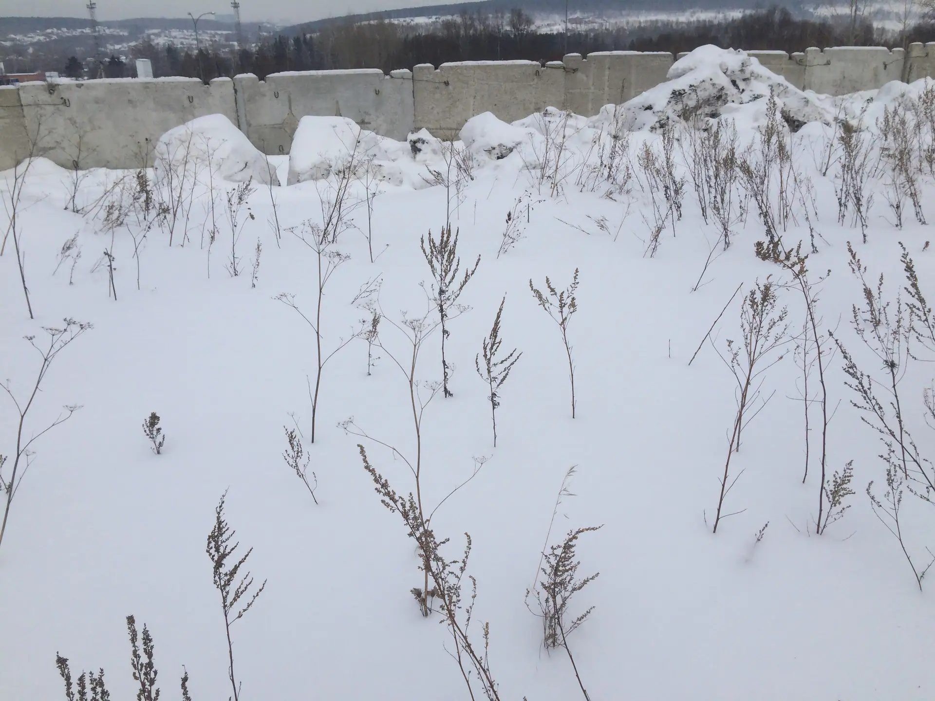 февраль, 2019