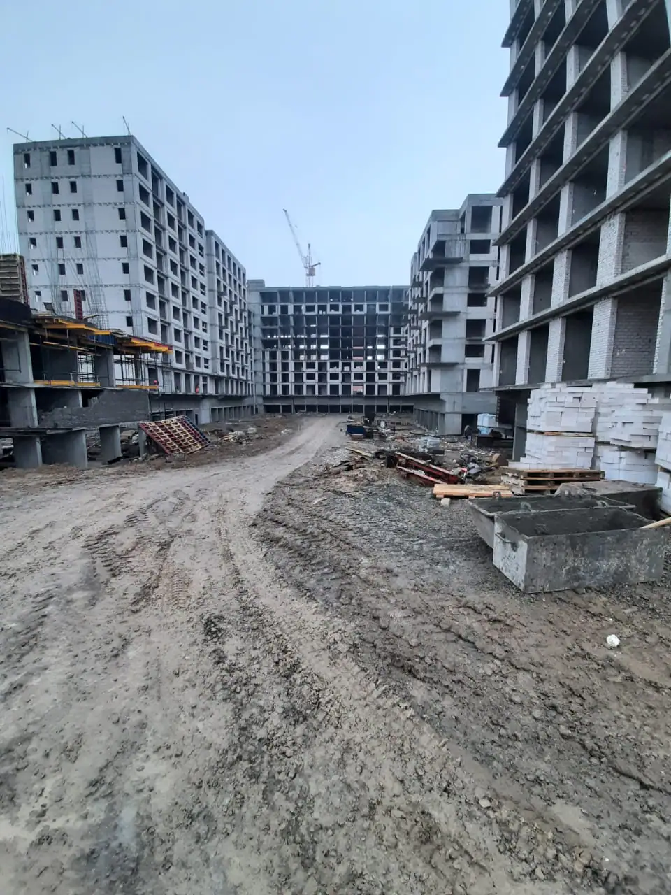 ноябрь, 2022