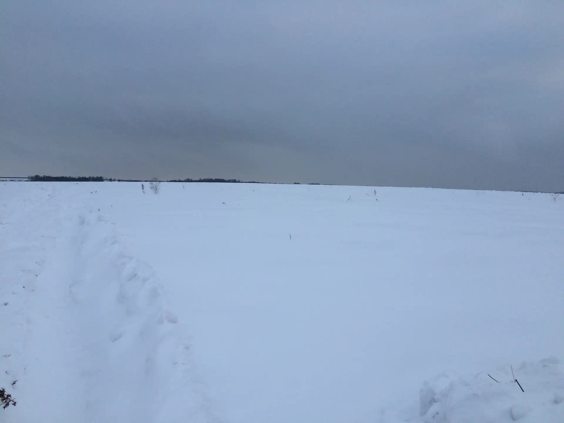 январь, 2019