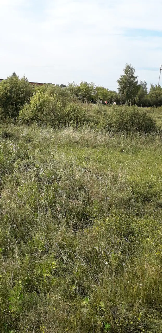 сентябрь, 2019