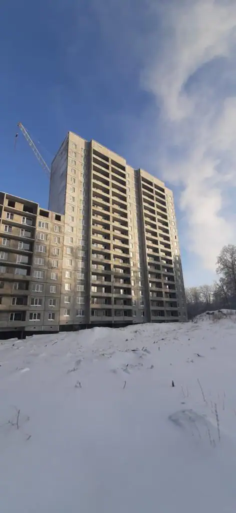 январь, 2023