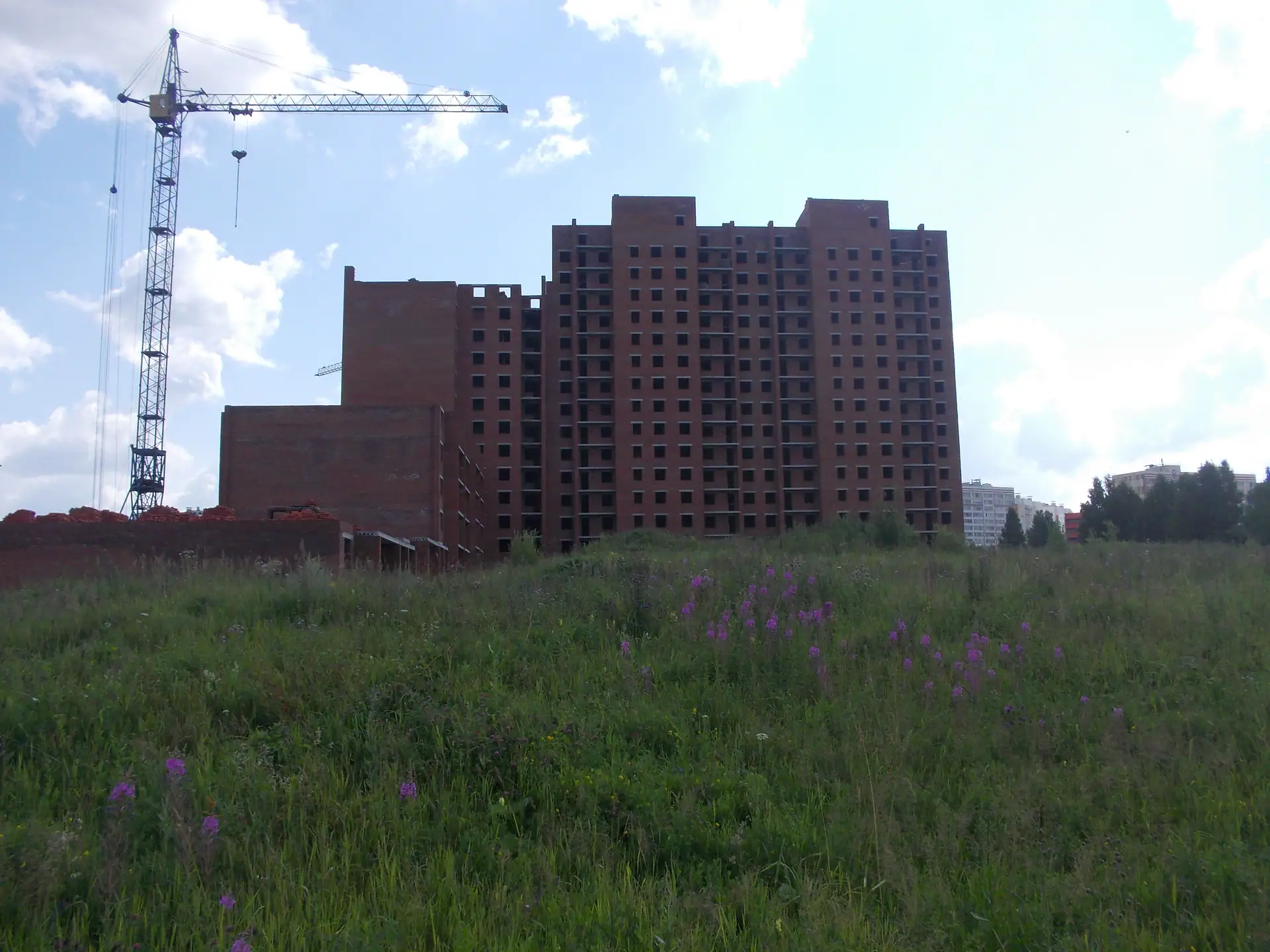июль, 2021