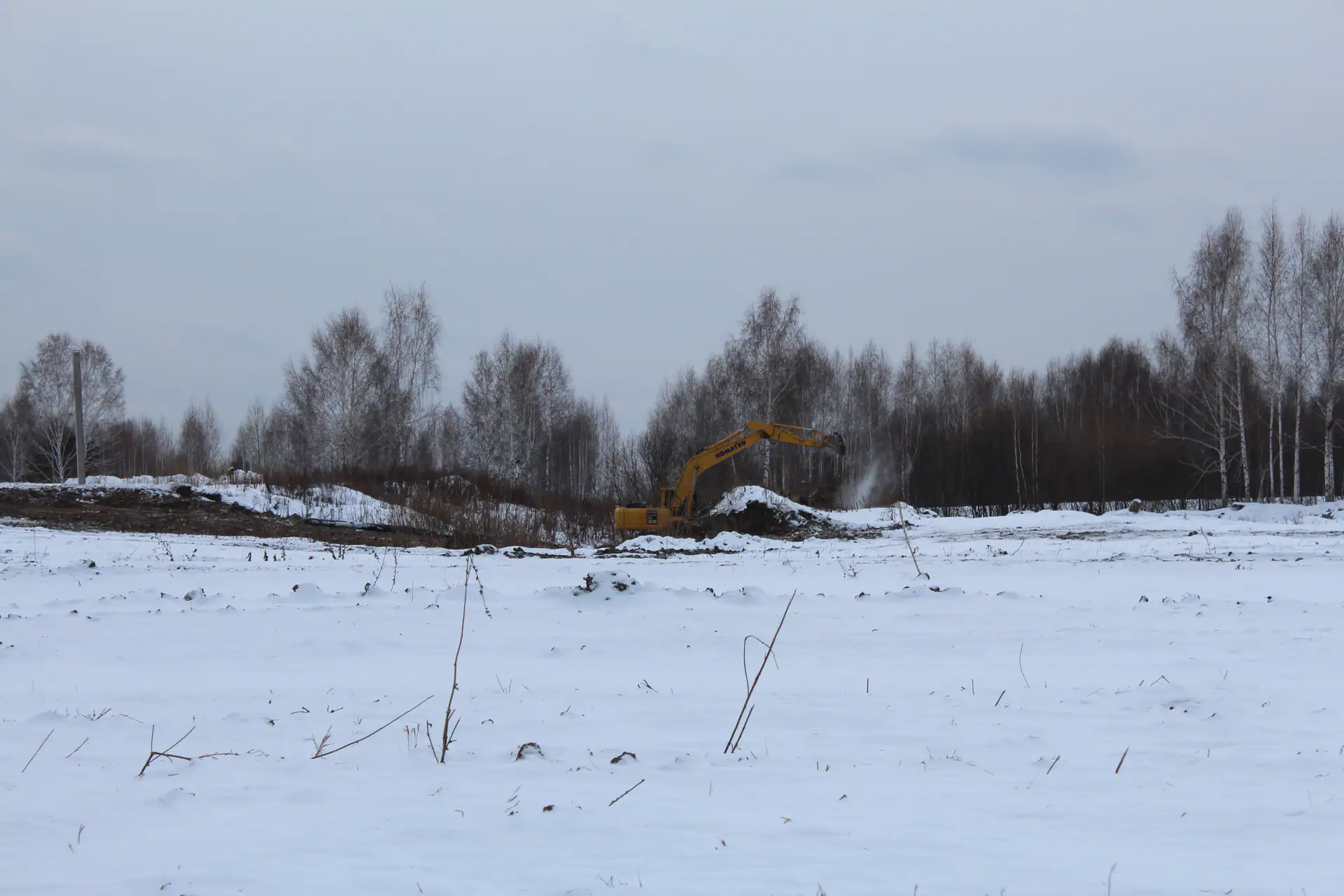 11 2022 г.