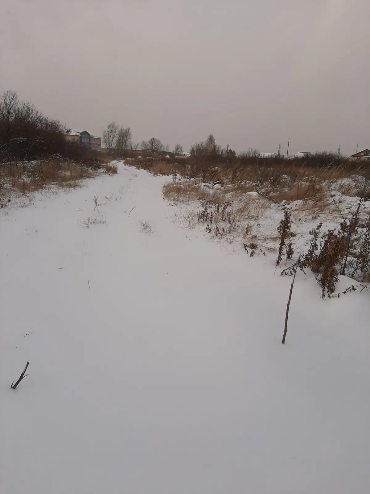 декабрь, 2019