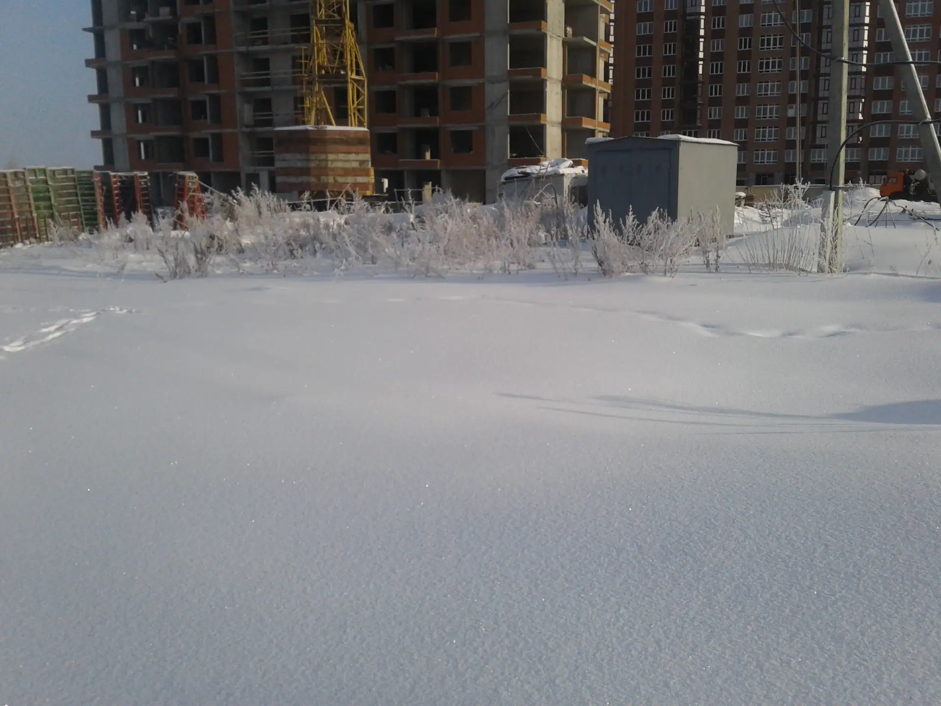 январь, 2019