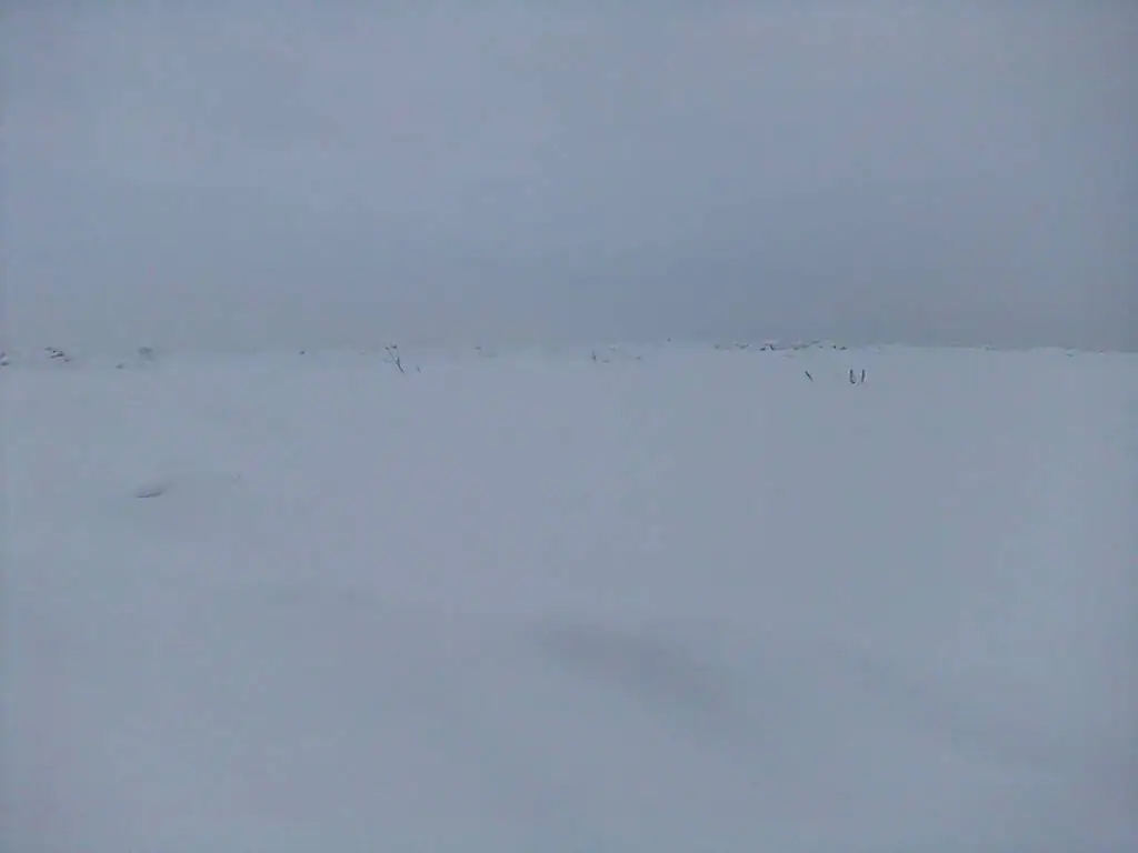 3 2019 г.