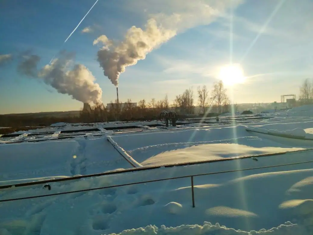 январь, 2019