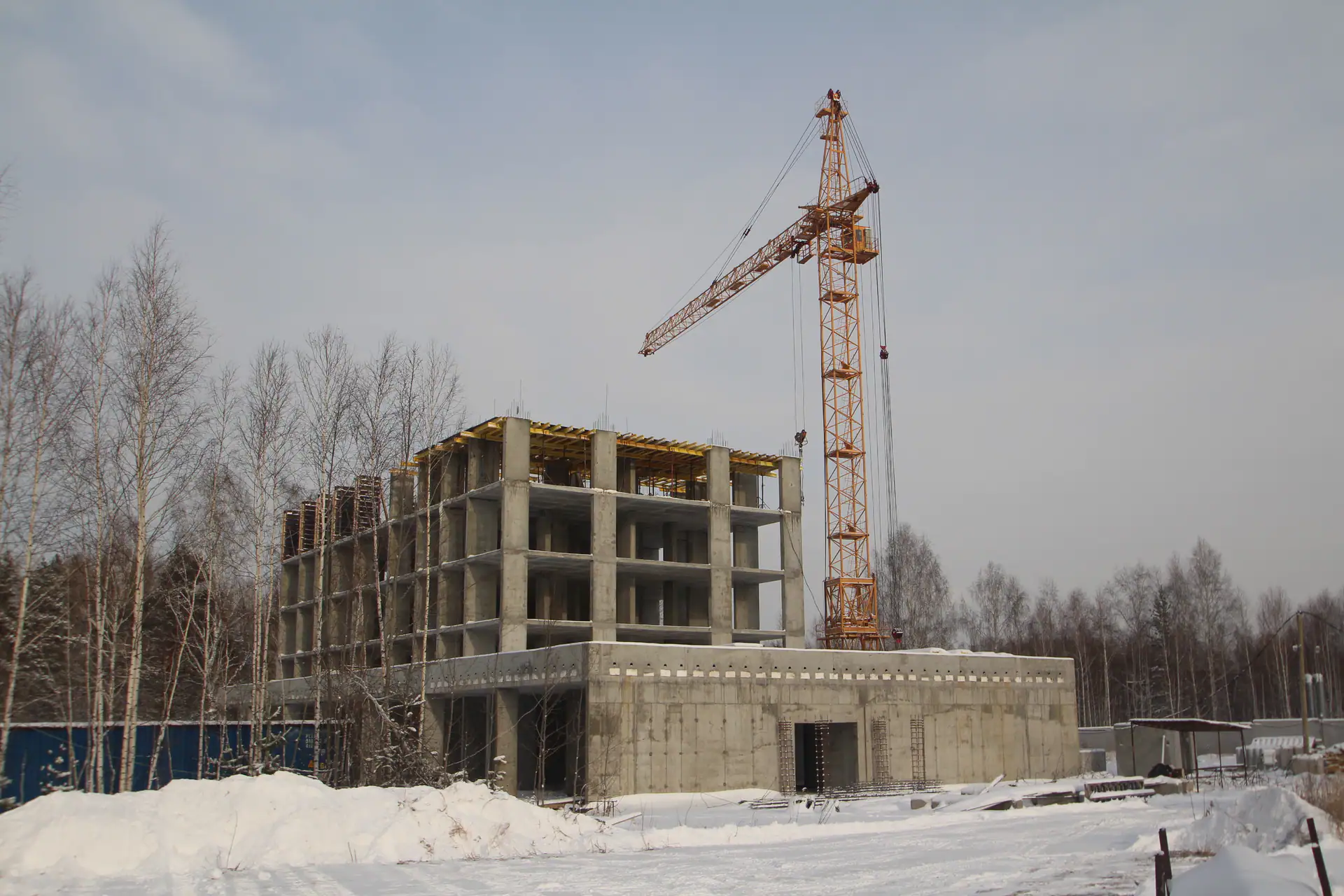 12 2019 г.