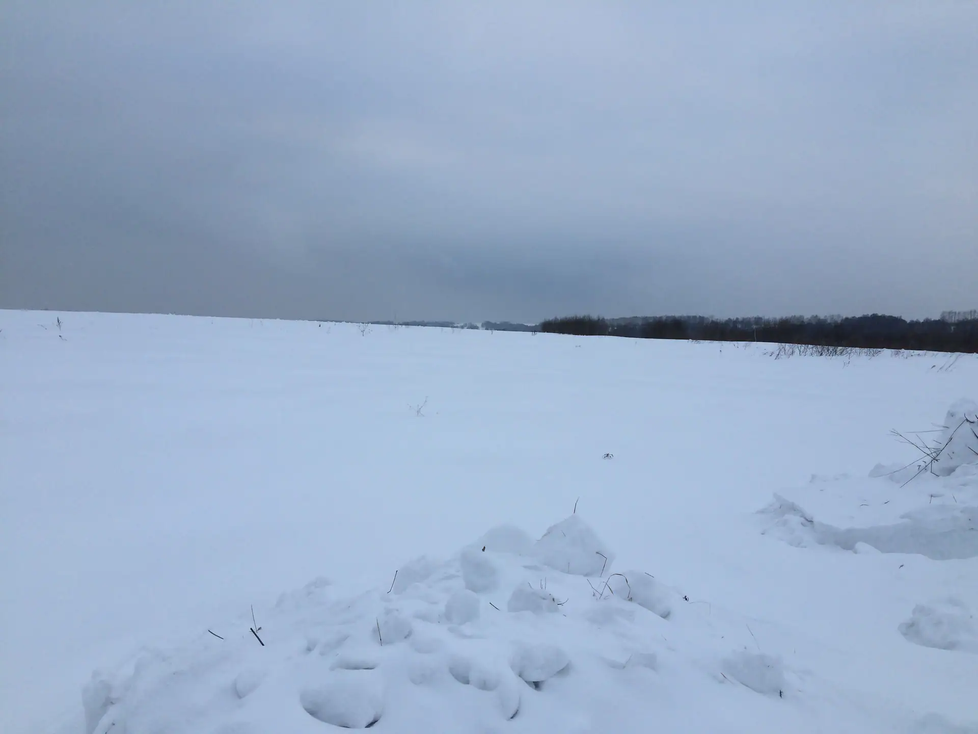 январь, 2019