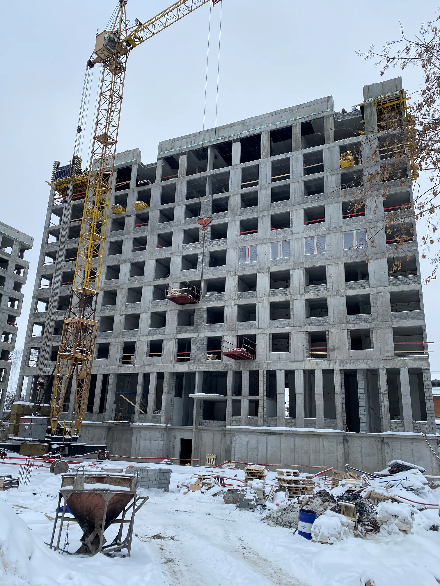 февраль, 2020