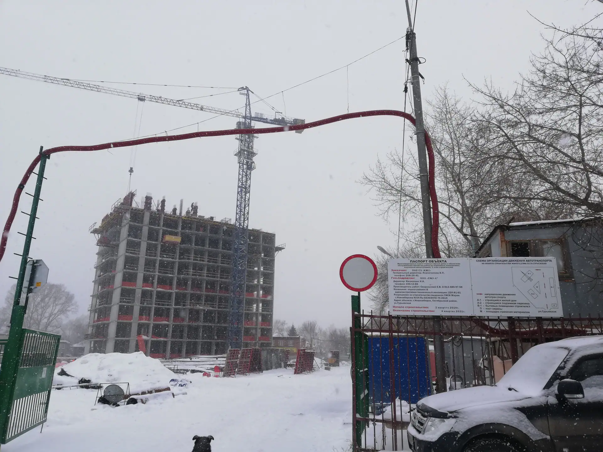 11 2019 г.