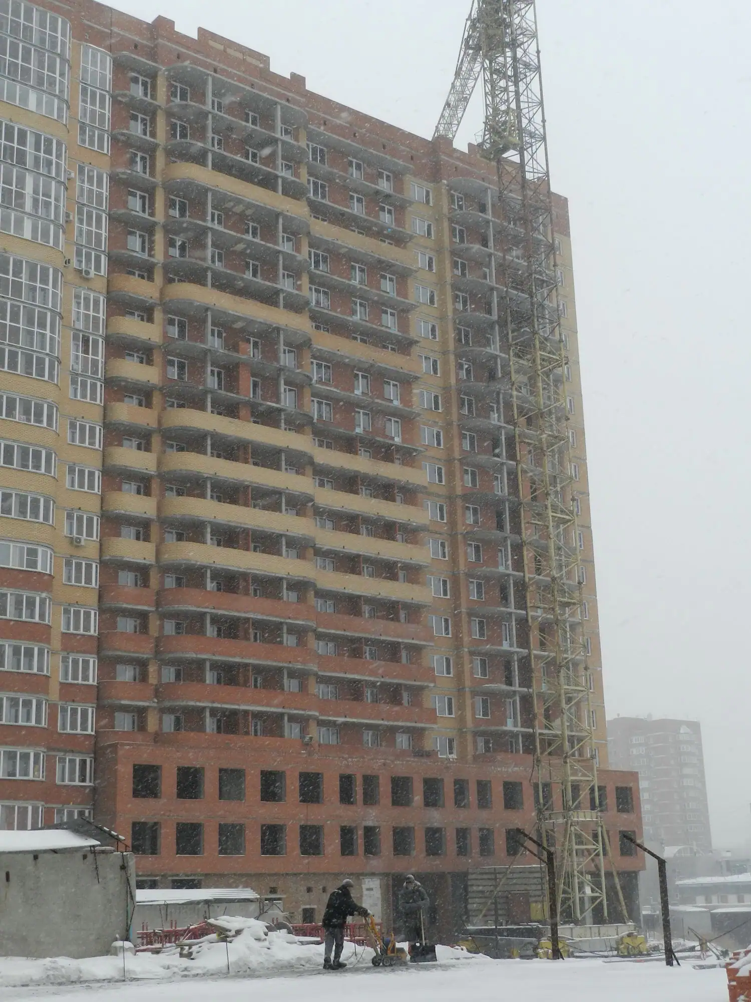 11 2019 г.
