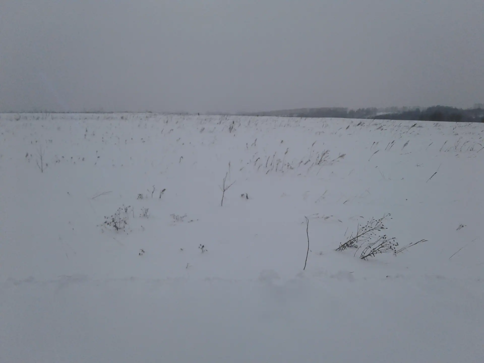 11 2018 г.