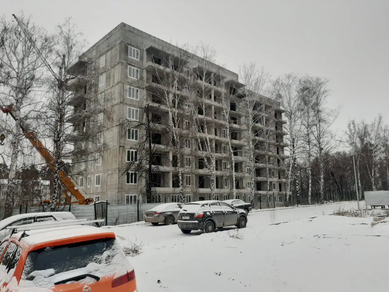 ноябрь, 2020