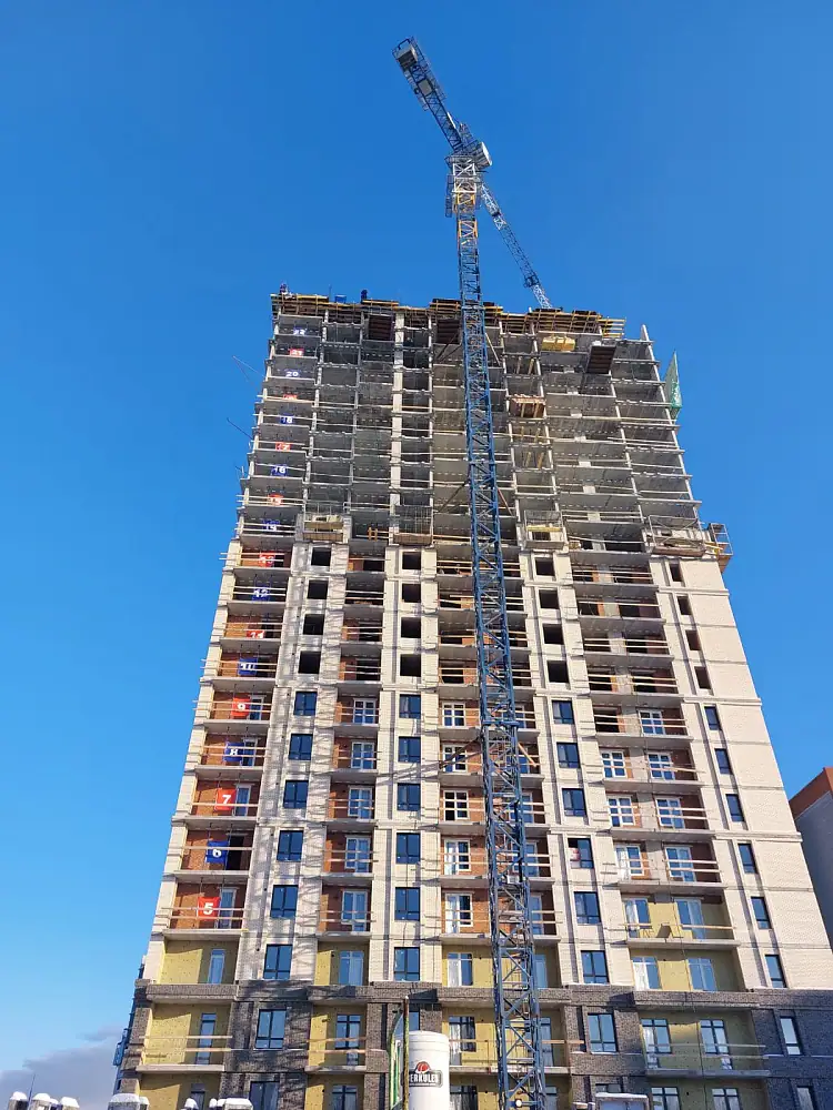 январь, 2023