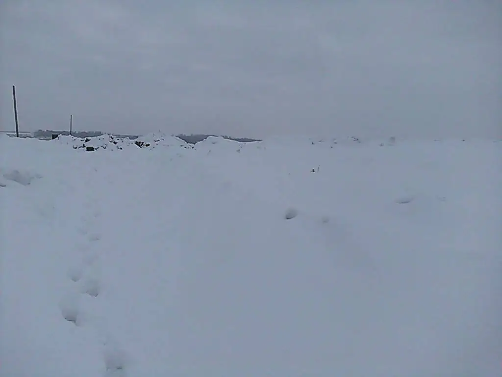 3 2019 г.