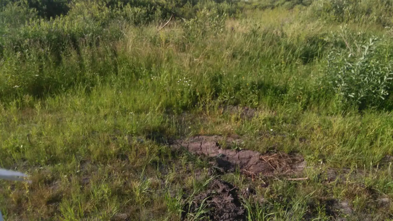 июль, 2019