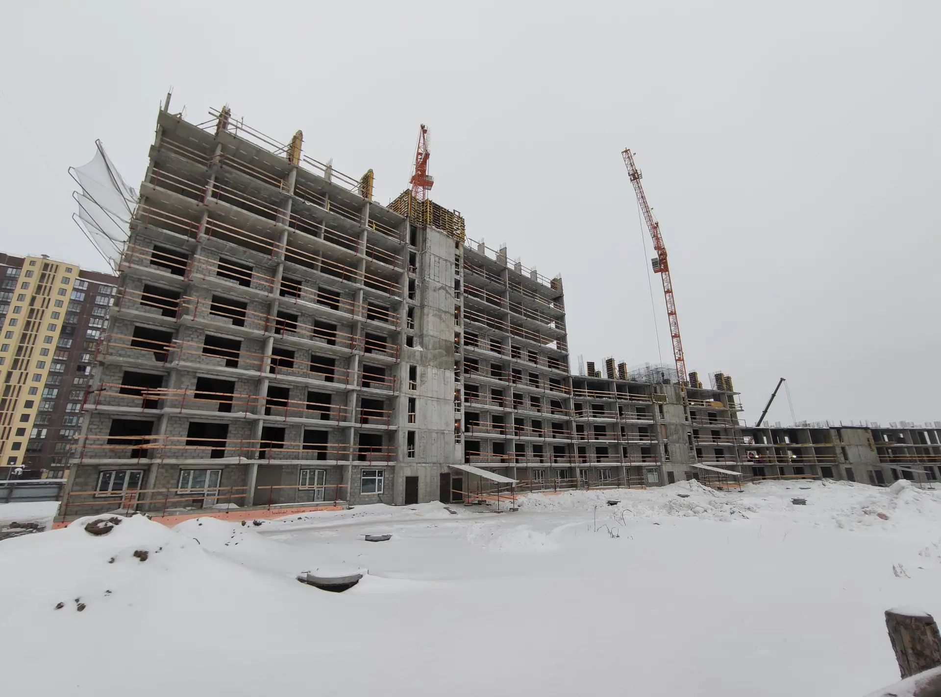 февраль, 2022