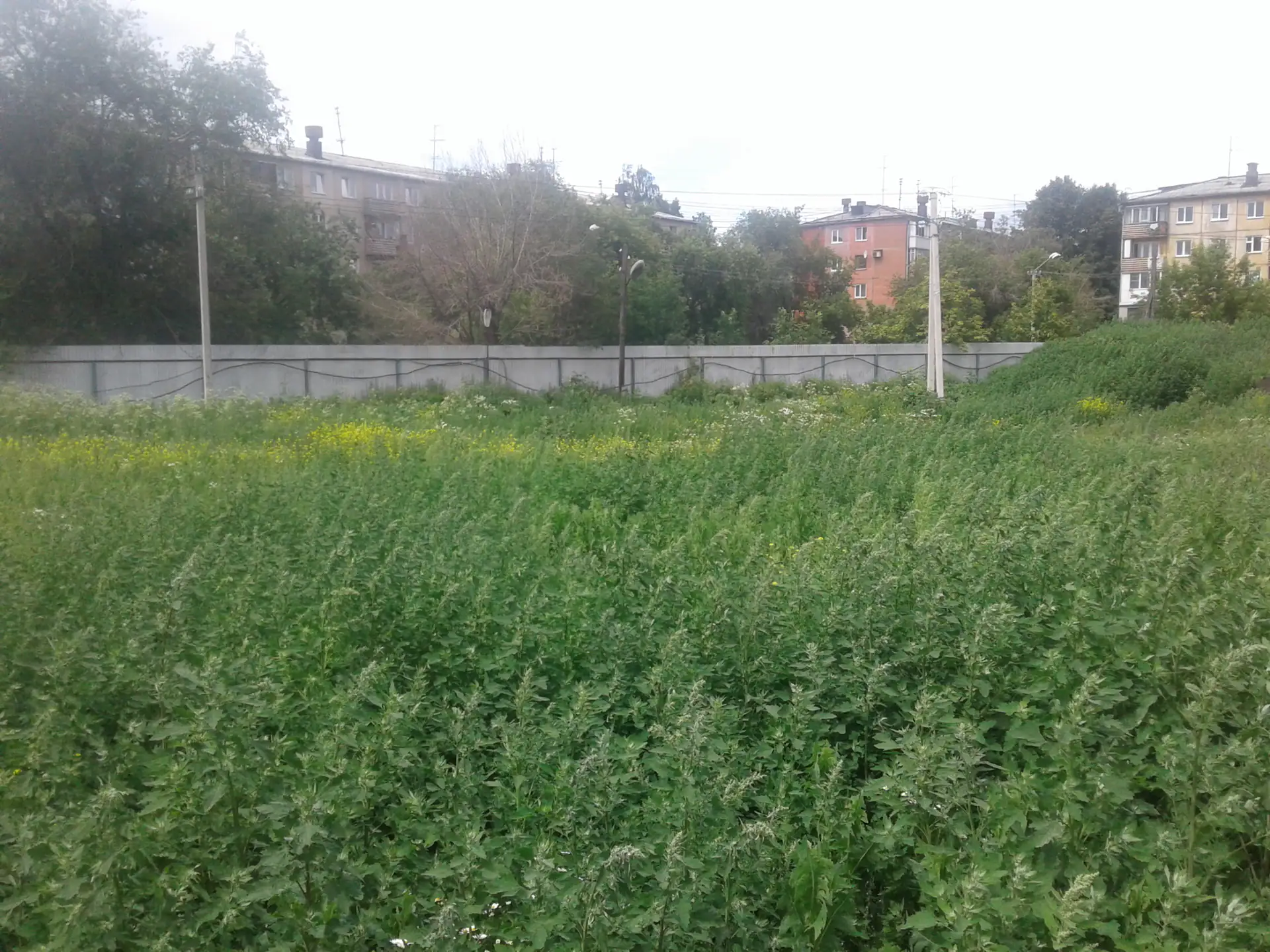 июль, 2019