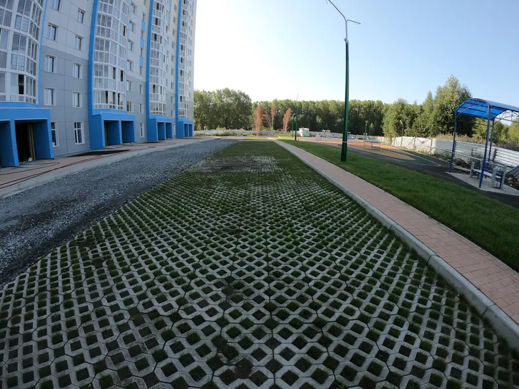 7 2019 г.
