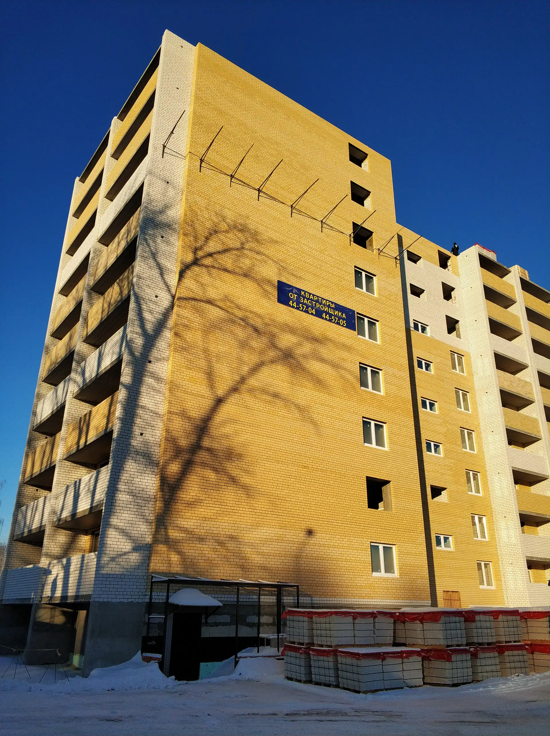 январь, 2019