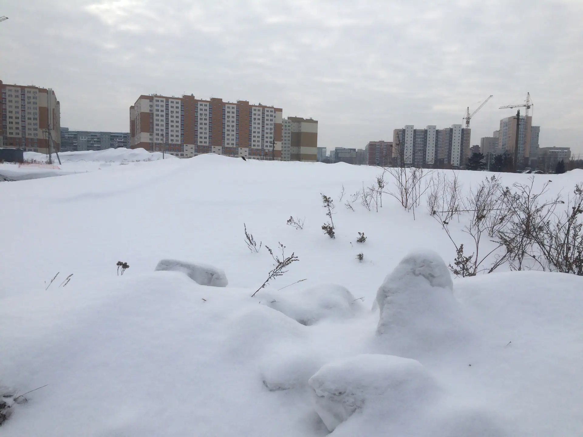 2 2019 г.