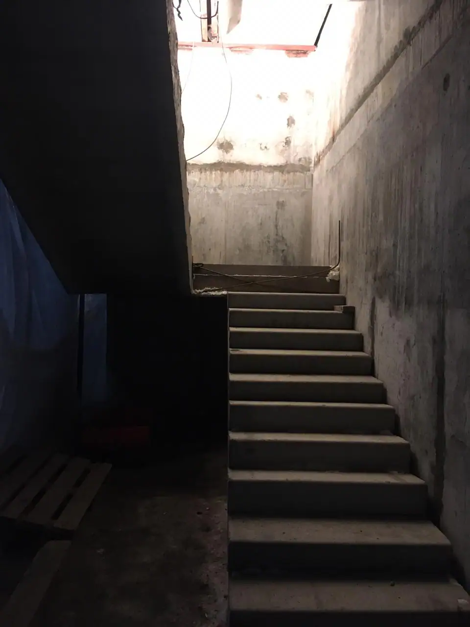11 2019 г.