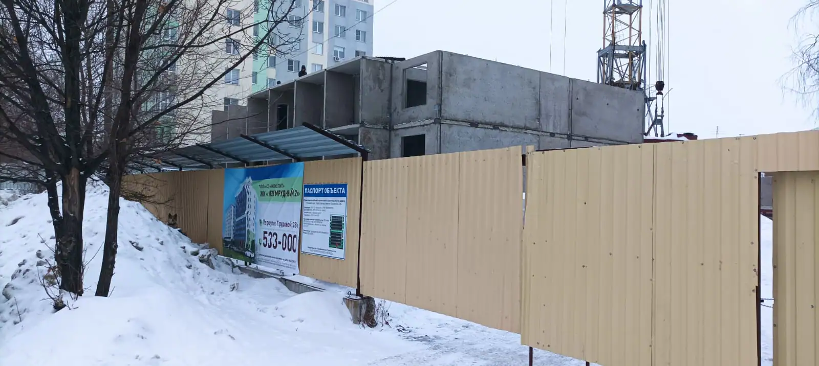 январь, 2023