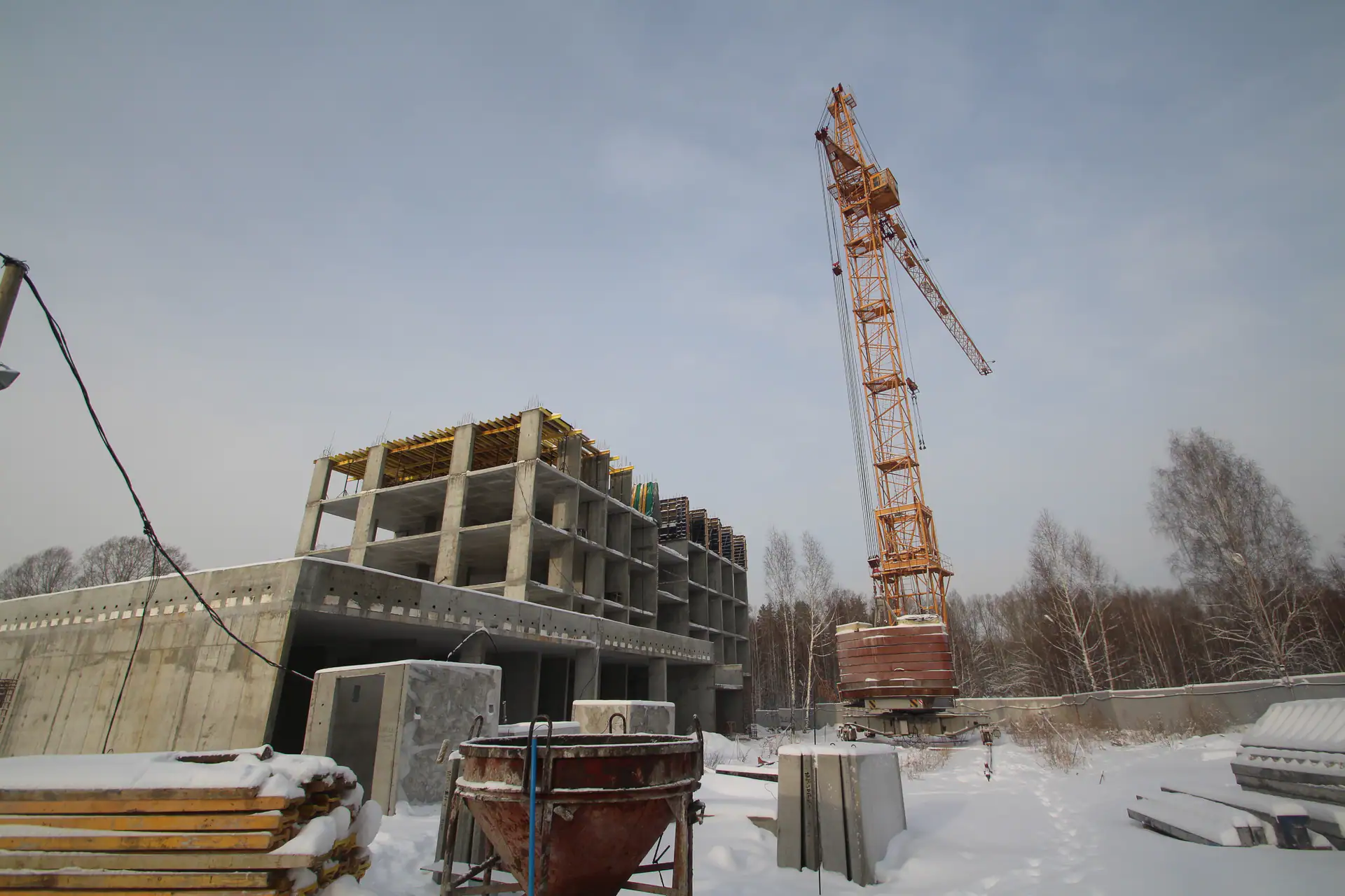 12 2019 г.