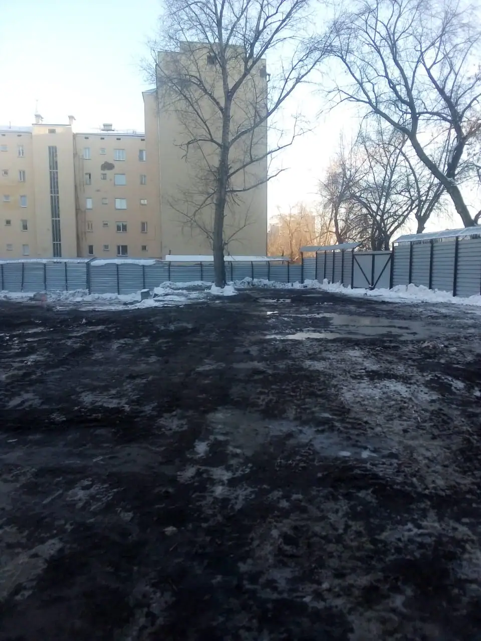 03 2021 г.