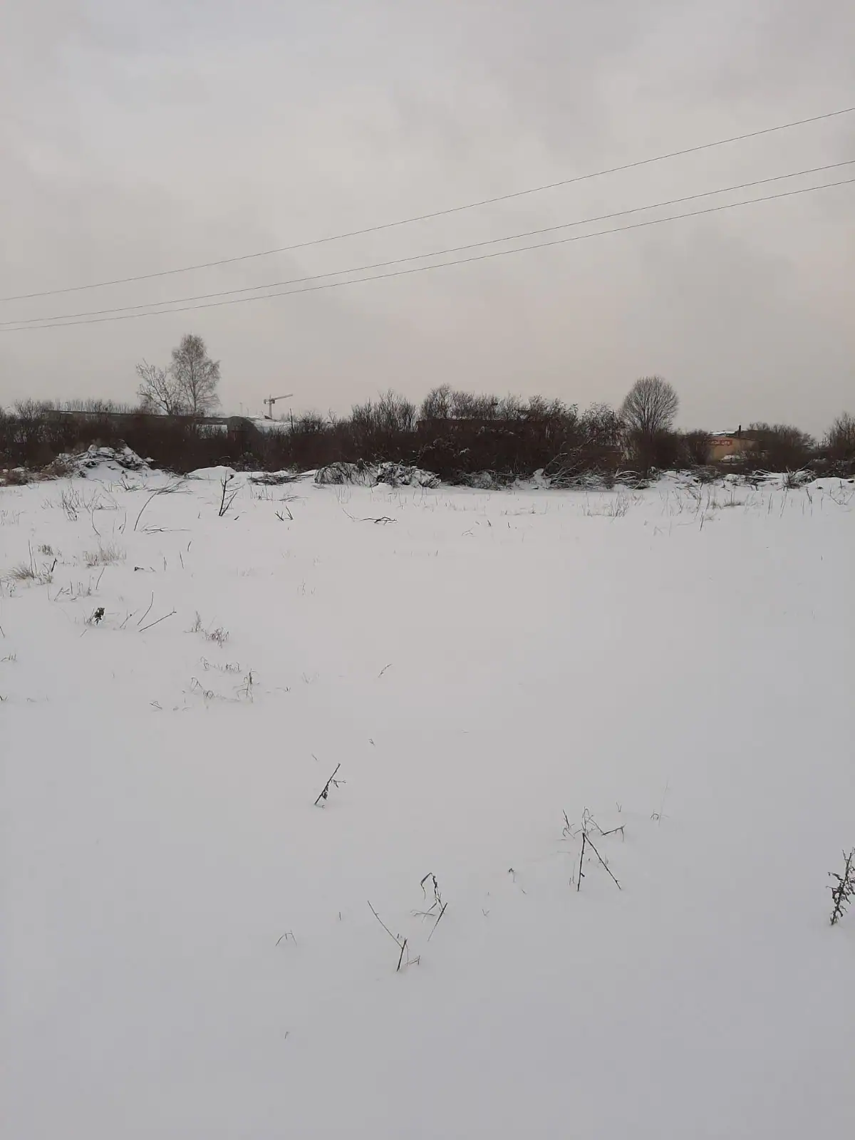 декабрь, 2019