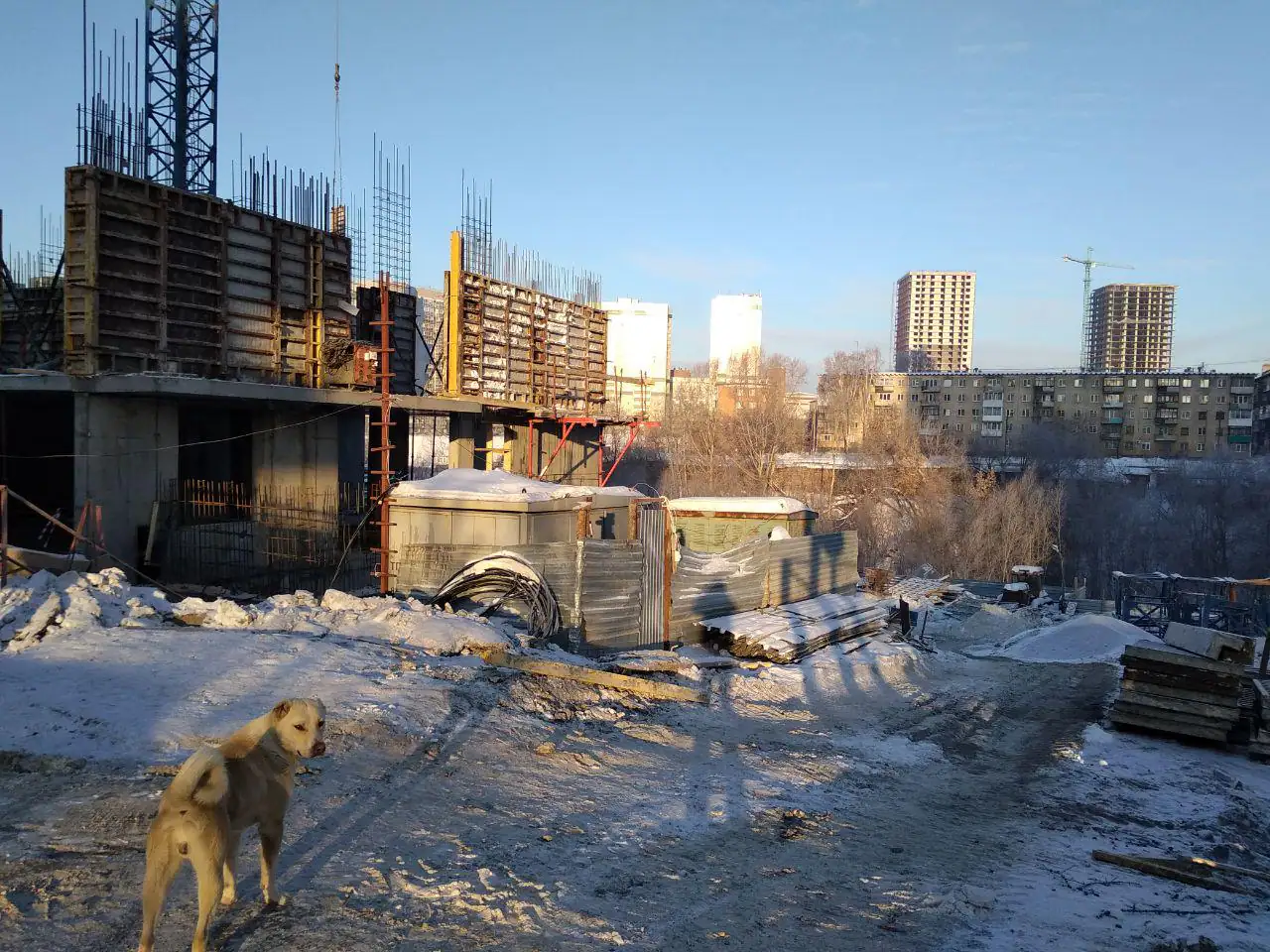 1 2019 г.