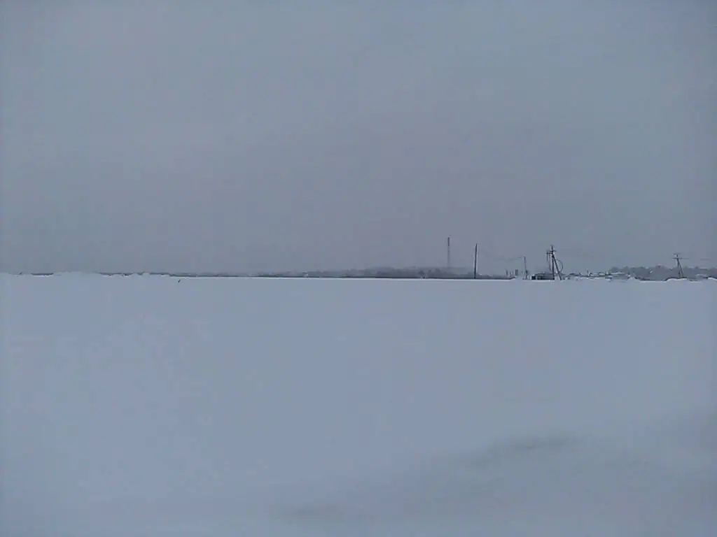 3 2019 г.