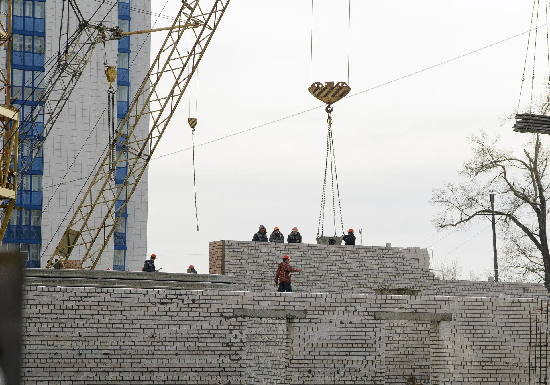 январь, 2019