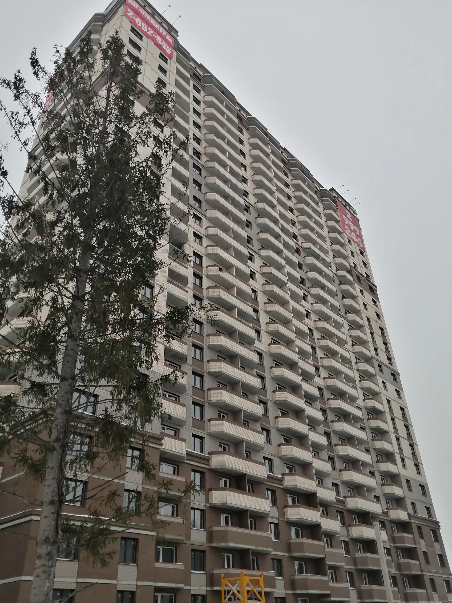 январь, 2022